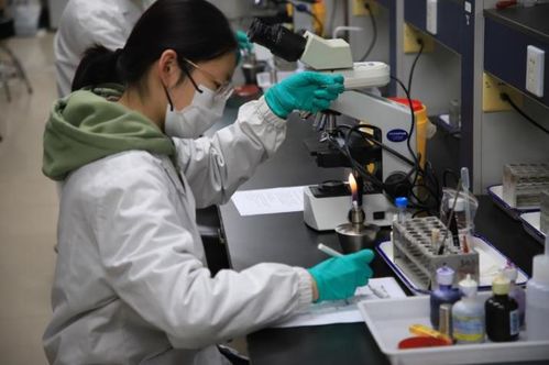 第九屆達(dá)承杯醫(yī)學(xué)檢驗技術(shù)專業(yè)本科生技能大賽圓滿落幕，技術(shù)研發(fā)成果顯著